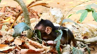 POOR NEWBORN BABY BRIYA GOT ABANDONED...BRIYA STAYED LONELY WITH EMOTIONAL SADNESS AND MUCH SCARY.