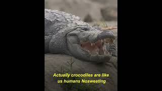 Amazing facts about crocodile | 92 #shorts #viral