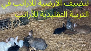 تنظيف 🧹 أرضية الأرانب في طريقة التربية التقليدية للأرانب🐇