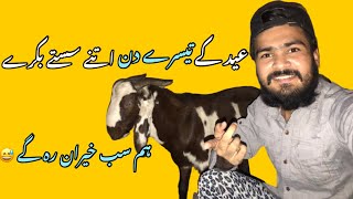 Eid ke third day 😅itne saste bakre 😱😅| Mandi vlog 5 | Salman ali |