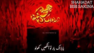 Baba Janum | Shahadat E Bibi Sakina whatsApp status | Bibi Sakina noha status 2023 | 13 Safar status