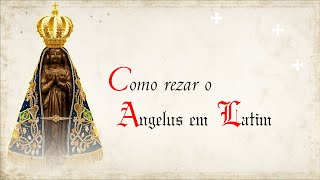 COMO REZAR O ANGELUS EM LATIM | Rezar em Latim