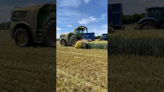 Wholecrop harvesting with John Deere 9700i & New Holland #farming #agriculture #johndeere