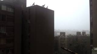 Heavy rain in Cairo,Egypt