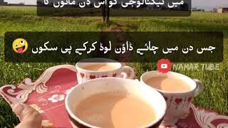 Whatsapp Status Video 💟 30 second status video 💟 Chai lover Shairi Status