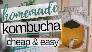 HOW TO MAKE YOUR OWN KOMBUCHA FROM SCRATCH // HOMEMADE KOMBUCHA