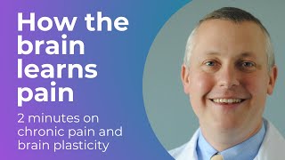 How the Brain Learns Pain: Chronic Pain & Plasticity