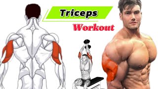 Best Triceps Workout | Lateral Head -Long Head - Medial Head | MBF Fitness