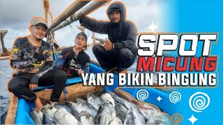 Ini Akibatnya Mancing Jigging Tepat di Sarang Ikan, Satu Spot Berjuta Ikan!!!