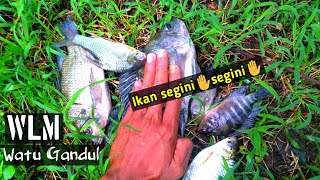 MANCING NILA LIARAN DIWADUK LAHOR!!! SPOT WATU GANDUL #eps38