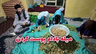 کار روزانه با طنز🤪جمشید رضایی و قصه های عيد محمد رضایی