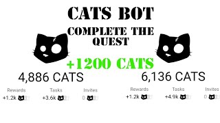 Complete the Quest (high load) +1200 cats | Cats airdrop new task | Cats bot new task for +1200 cats