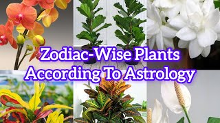 Zodiac-Wise Plant According To Astrology Sadaf Subhan Astrologer