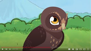 Ruru Can't Sleep I English & Te Reo Māori I Tākaro Tribe I Kids Cartoon I Songs