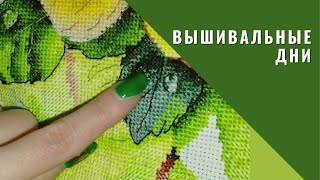 Вышивка крестом. Вышивальный дневник по 8.10.21