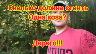 не продавайте коз, пока не посмотрите это видео...