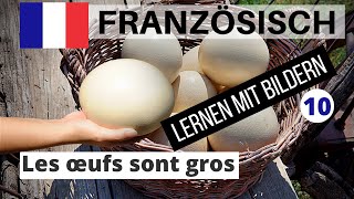 Französisch lernen A1 für Anfänger 10 | 🇫🇷 Wichtige Französische Sätze 🇫🇷Einfach & Schnell Lernen!