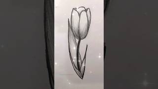 Simple drawing // easy tulip 🌷 drawing technique #howtodraw #flowers