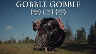 GOBBLE GOBBLE (48 Hour Film)