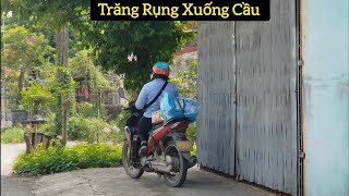 Trăng Rụng Xuống Cầu (Remix) - Vương Bảo Tuấn