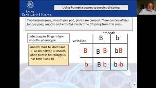 Test Cross and Pedigree Chart