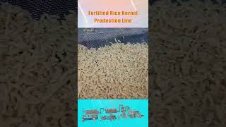 Fortified rice making machine