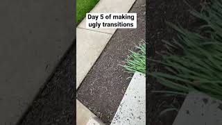 Day 5 of making ugly transitions… #shorts #short #meme #funny #transitions #transition