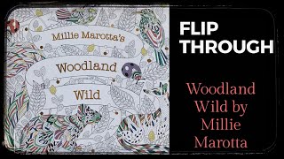 FLIP THROUGH: Woodland life by MILLIE MAROTTA (talk, not music)