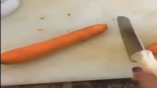 Carrot