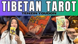 TIBETAN TAROT READER || TENZIN TAROPIST || TIBETAN VLOGGER || TIBETAN YOUTUBER 2024