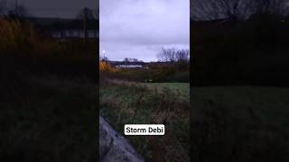 Storm Debi Strong Winds