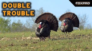 Opening Day Run and Gun Gobbler