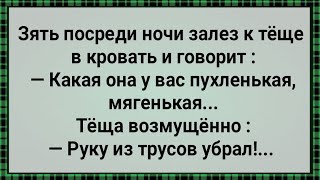 Как Зять Залез Теще в Трусы! Сборник Свежих Анекдотов! Юмор!