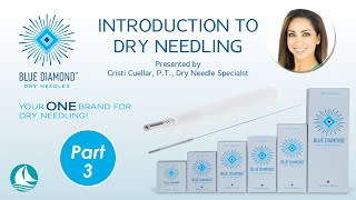 Introduction to Dry Needling Part 3