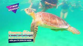 Yalku Tours - Cyber Monday - Tulum - Akumal - Español