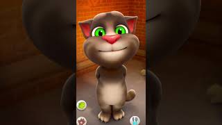 Funny Talking Tom Cat #shorts