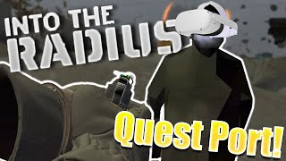 The Best Quest Port - Into The Radius (Meta Quest 2 Gameplay)