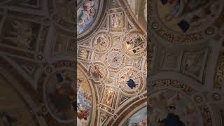 Raffaello's masterpiece |Vatican museum #shortvideo #masterpiece #artwork