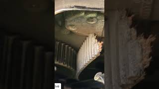 Volkswagen Broken Timing Belt