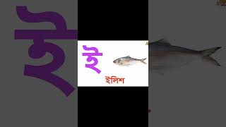 বাংলা বর্ণমালা-ছোটদের বর্ণমালা -অ আ ই বর্ণমালা - #short  #alphabet #বর্ণমালা #shortsvideo #শিক্ষা