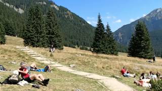 Dolina Chochołowska, czyli nie zawsze trzeba iść do góry - Tatry 2013