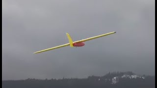 Hangflug mit dem Reptor von Modellbau Joost