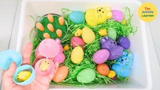 Easter Sensory Bin Activity | Toddler Activities | Educational Videos for Toddlers