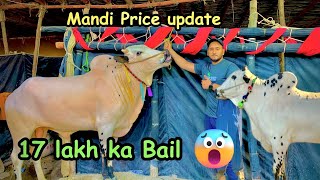 Expensive cow Mandi 17 lakh ka bail || Mandi funny Vlog😂😂 | Arvlogs #trending #viral #mandi