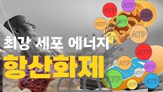 낮을 지배하는 가장 강력한 항산화제 멜라토닌의 거대 비밀