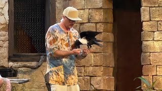 Feathered Friends in Flight at Disney’s Animal Kingdom