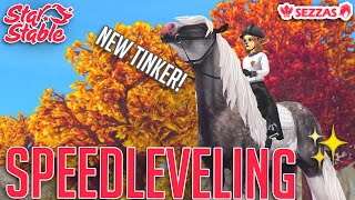 🐎 SPEEDLEVELING NEW TINKER | SSO