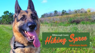 🥾 Cockroach Bay Preserve | Hillsborough County Hiking Spree 2023