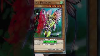 Rare Insect Princess Card  Unleashing its Mighty Power! #yugioh #yugiohisforeveryone #yugiohcard