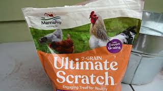 Manna Pro Ultimate Scratch; Review With Our Test Chicken